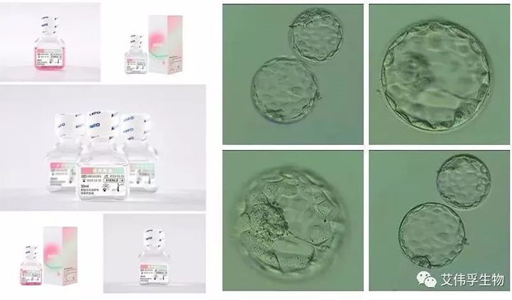 1664182832207587.png 微信圖片_20220926141522.png